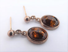 Load image into Gallery viewer, Brown & Silver Tone Oval Drop Earrings