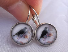 Load image into Gallery viewer, Tui with Flax Fowers - Dome Earrings on Lever Back Hooks (The NZ Collection)