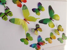 Load image into Gallery viewer, 12x Green 3D Butterfly Wall Decals