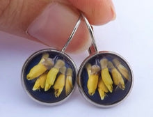Load image into Gallery viewer, Kowhai Flowers - Dome Earrings on Lever Back Hooks (The NZ Collection)