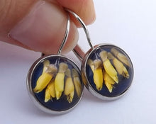 Load image into Gallery viewer, Kowhai Flowers - Dome Earrings on Lever Back Hooks (The NZ Collection)
