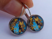 Load image into Gallery viewer, Kowhai Flowers, Blue Sky - Dome Earrings on Lever Back Hooks (The NZ Collection)