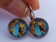 Load image into Gallery viewer, Kowhai Flowers, Blue Sky - Dome Earrings on Lever Back Hooks (The NZ Collection)