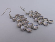 Load image into Gallery viewer, Leaves on Vine Lustre Earrings