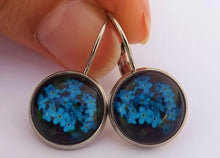 Load image into Gallery viewer, Rich Blue Flowers - Dome Earrings on Lever Back Hooks