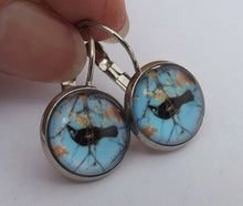 Load image into Gallery viewer, Tui with Kowhai Flowers, Blue Sky - Dome Earrings on Lever Back Hooks (The NZ Collection)