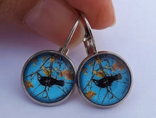 Load image into Gallery viewer, Tui with Kowhai Flowers, Blue Sky - Dome Earrings on Lever Back Hooks (The NZ Collection)