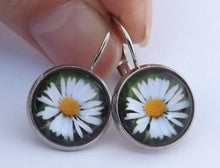 Load image into Gallery viewer, White Daisy - Dome Earrings on Lever Back Hooks (The NZ Collection)