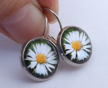 Load image into Gallery viewer, White Daisy - Dome Earrings on Lever Back Hooks (The NZ Collection)