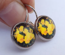 Load image into Gallery viewer, Yellow Pansies - Dome Earrings on Lever Back Hooks (The NZ Collection)