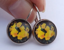 Load image into Gallery viewer, Yellow Pansies - Dome Earrings on Lever Back Hooks (The NZ Collection)