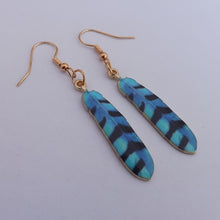 Load image into Gallery viewer, Blue, Black &amp; Gold Tone Feather Drop Earrings

