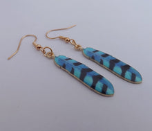 Load image into Gallery viewer, Blue, Black &amp; Gold Tone Feather Drop Earrings
