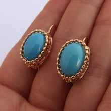 Load image into Gallery viewer, Blue &amp; Gold Tone Drop Earrings
