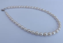 Load image into Gallery viewer, Creamy White Genuine Freshwater Pearl Bead Necklace
