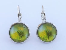 Load image into Gallery viewer, Green Leaves Dome Earrings on Lever Back Hooks
