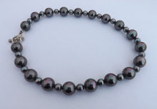 Load image into Gallery viewer, Grey with AB Lustre Crushed Seashell Pearl Bead Necklace
