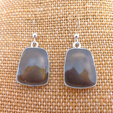 Load image into Gallery viewer, Light Brown &amp; Silver Drop Earrings

