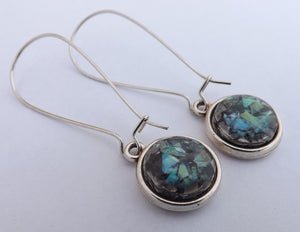 Paua on Black Earrings, Long Kidney Hooks