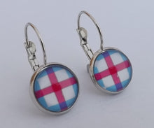 Load image into Gallery viewer, Pink, Blue &amp; White Checkered Dome Earrings on Lever Back Hooks
