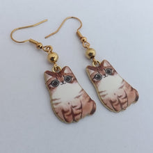 Load image into Gallery viewer, Tabby &amp; White Cat with Gold Bead, Drop Earrings
