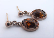 Load image into Gallery viewer, Brown &amp; Silver Tone Oval Drop Earrings
