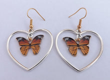 Load image into Gallery viewer, Monarch Butterfly in Silver Tone Heart, Drop Earrings
