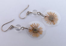 Load image into Gallery viewer, Pressed Daisy Drop Earrings on Sterling Silver Hooks
