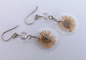 Pressed Daisy Drop Earrings on Sterling Silver Hooks