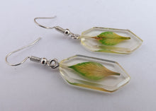 Load image into Gallery viewer, Pressed Leaf in Clear Acrylic Earrings
