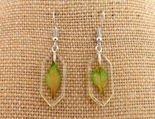 Load image into Gallery viewer, Pressed Leaf in Clear Acrylic Earrings
