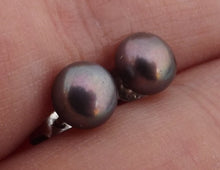 Load image into Gallery viewer, Purple Freshwater Pearl Stud Earrings
