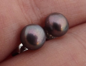 Purple Freshwater Pearl Stud Earrings