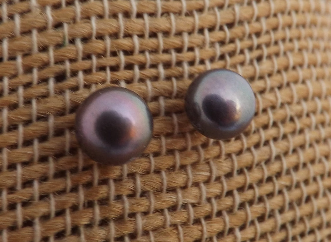 Purple Freshwater Pearl Stud Earrings