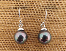 Load image into Gallery viewer, Purple Grey Crushed Seashell Pearl Earrings on Sterling Silver Hooks
