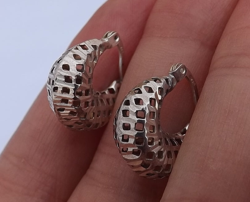 Sterling Silver 3D Hoop Earrings