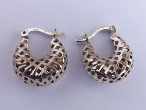 Sterling Silver 3D Hoop Earrings