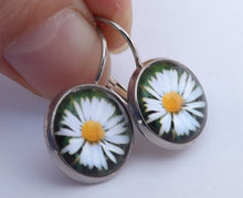 Load image into Gallery viewer, White Daisy - Dome Earrings on Lever Back Hooks (The NZ Collection)
